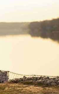 Шлюха Нелли 27172 Шлюха Нелли 27172