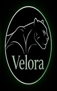 Шлюха Velora 34841